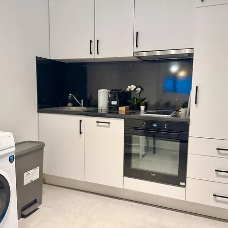 Apartament Stylish Near Vienna